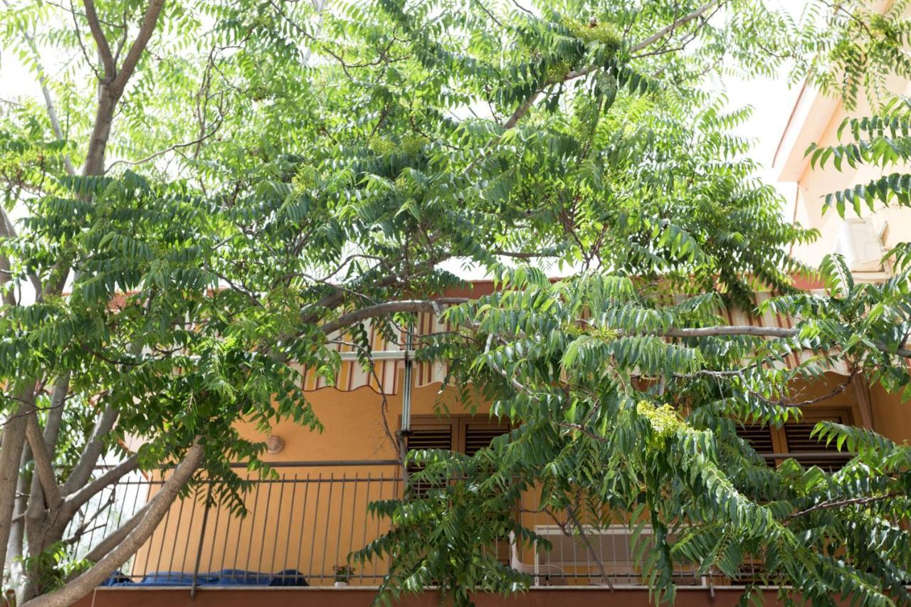 Casa Di Clara Appartement Acireale Buitenkant foto
